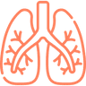 Lungs